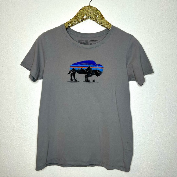 Patagonia Tops - Patagonia Bison Buffalo Mountain Graphic Regular Fit Tee S